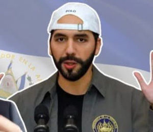 Meet your Posher, Angel mendoza